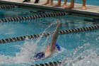 Swimming vs CGA  Wheaton College Swimming & Diving vs Coast Guard Academy. - Photo By: KEITH NORDSTROM : Wheaton, Swimming, diving